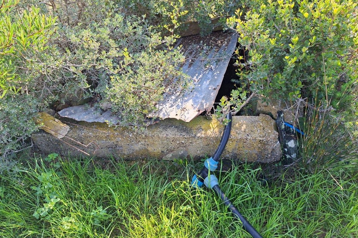 An outdoor utility area featuring a concrete structure with a corrugated metal cover and exposed irrigation piping, currently overgrown with vegetation.