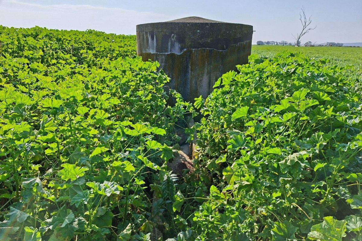 A weathered concrete water tank situated within a cultivated field on the farm property.