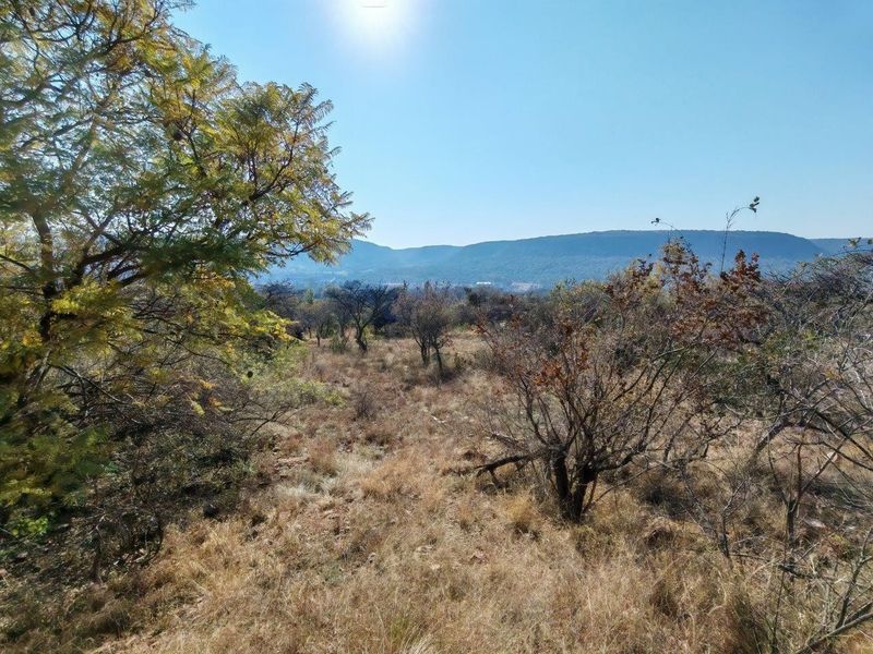 A scenic landscape view overlooking natural bushveld and distant mountains on the farm property.