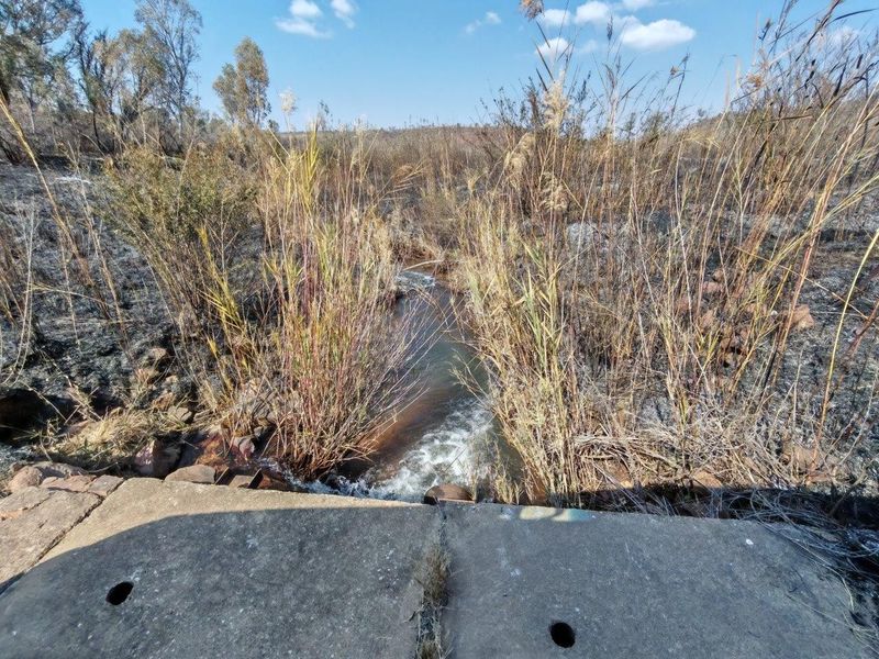 A view of a natural stream flowing through a concrete culvert on the farm property, surrounded by vegetation showing signs of recent fire damage.