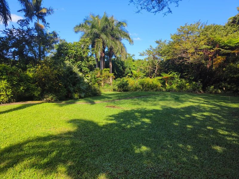 A lush, well-maintained garden featuring a large green lawn surrounded by mature tropical trees and dense foliage.