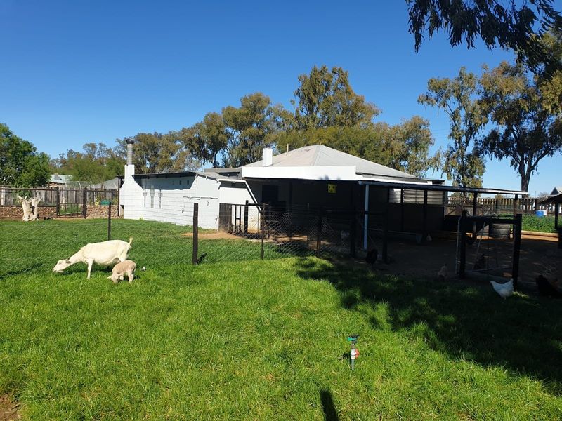 Rear view of a small holding property featuring a covered patio area, brick chimney, and surrounding wire-fenced garden space.