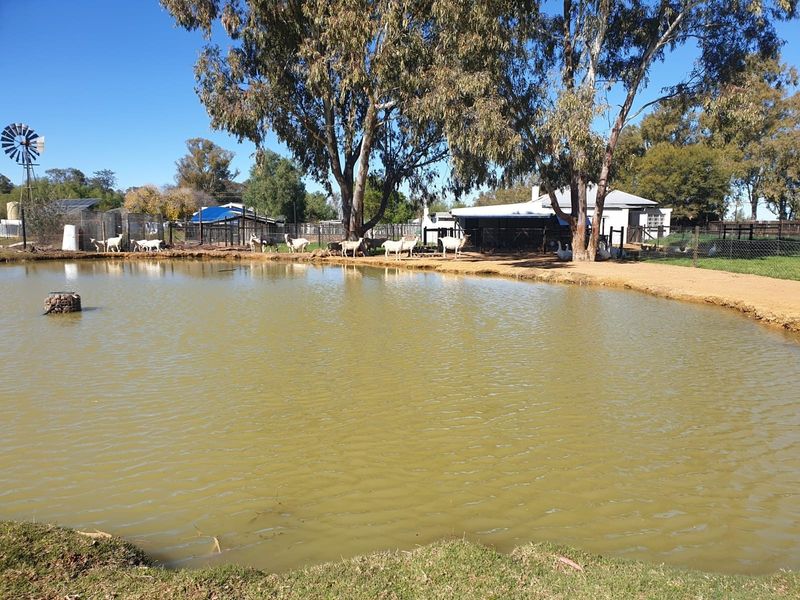 A scenic view of a farm dam on a small holding, featuring a traditional windmill, perimeter fencing, and surrounding outbuildings.