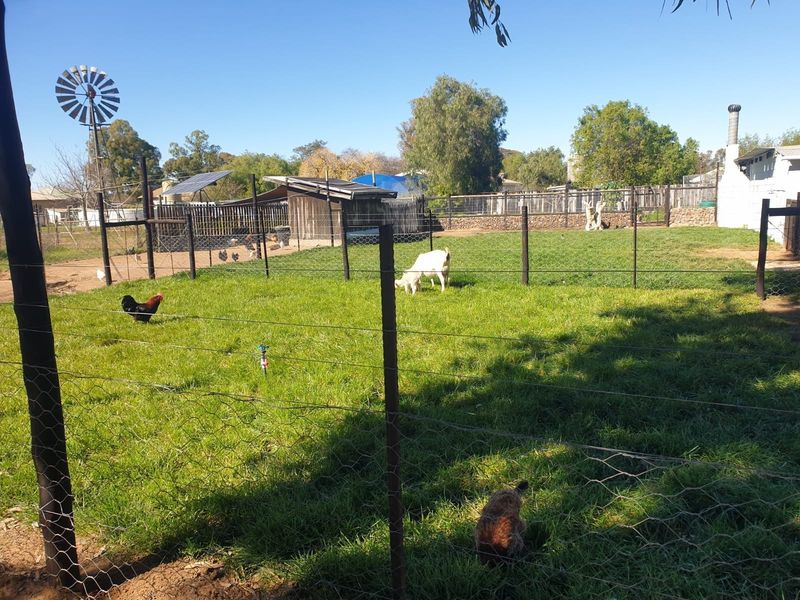 A fenced garden area on a small holding featuring a windmill, solar panels, and an outbuilding structure.