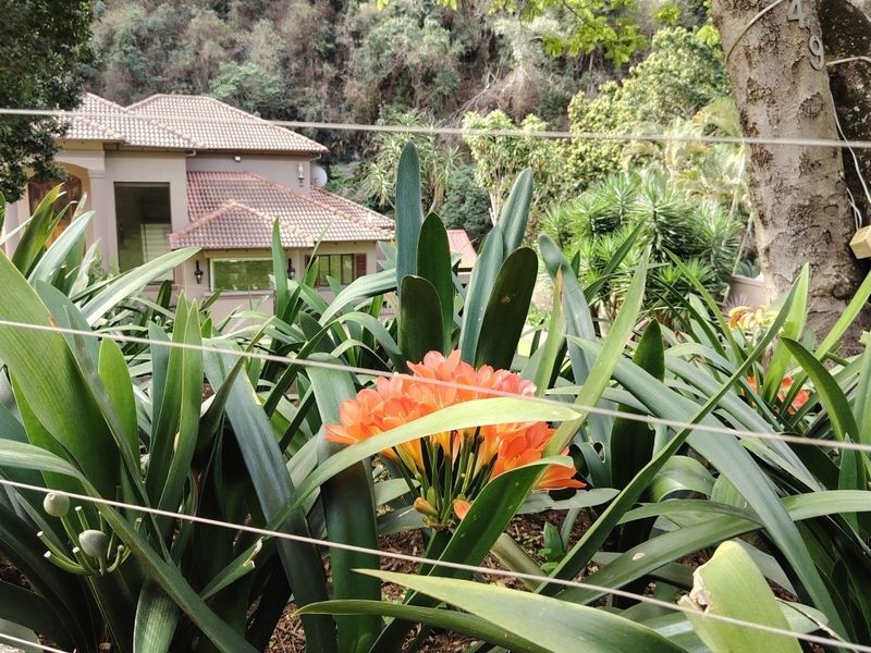A view of the rear elevation of the house featuring a tiled roof, partially obscured by garden foliage and a wire balustrade.