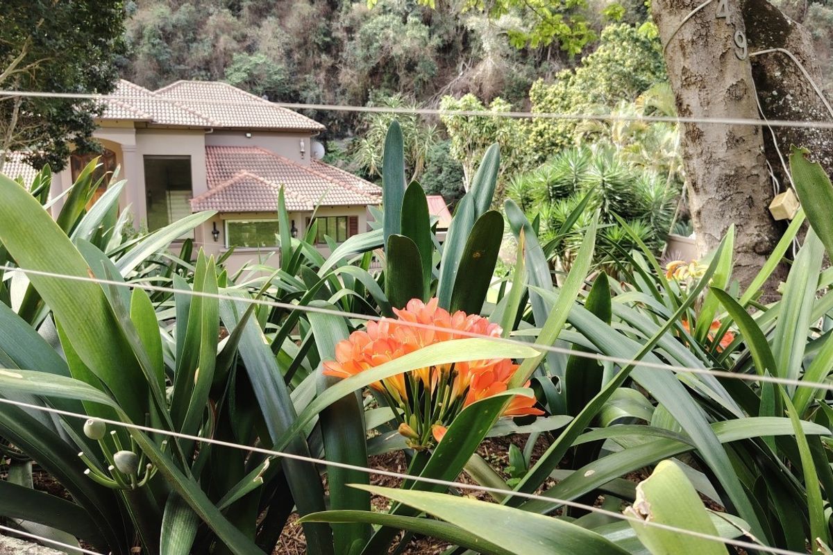 A view of the rear elevation of the house featuring a tiled roof, partially obscured by garden foliage and a wire balustrade.