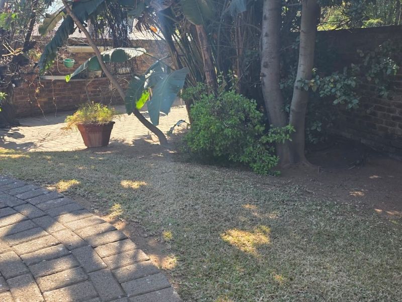 A private rear garden area featuring a paved walkway and brick boundary walls, offering potential for landscaping and outdoor improvement.