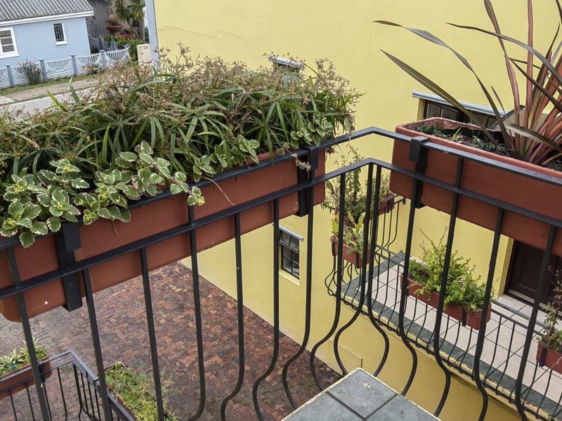 An elevated balcony featuring a metal balustrade with integrated planter boxes, overlooking a brick-paved courtyard area.