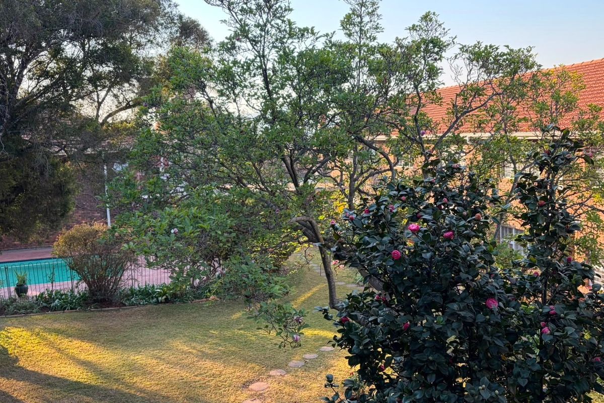 A view of the rear garden area featuring a swimming pool and established trees, providing a pleasant outdoor space for the apartment complex.