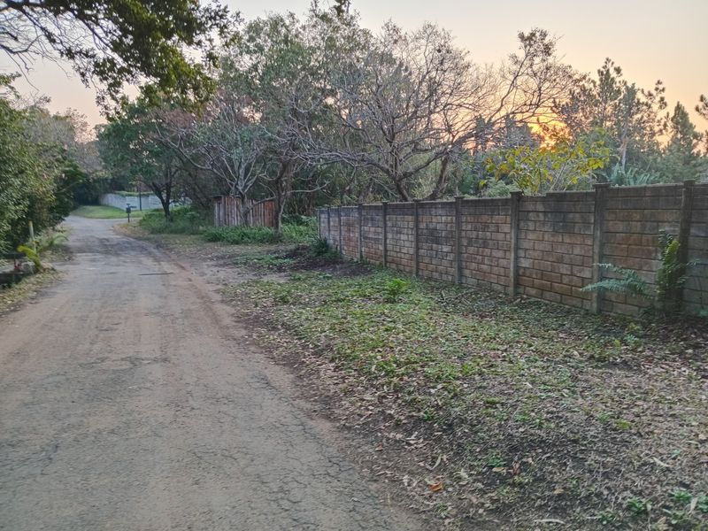 A view of an unpaved access road bordered by a brick boundary wall and mature trees at sunset.