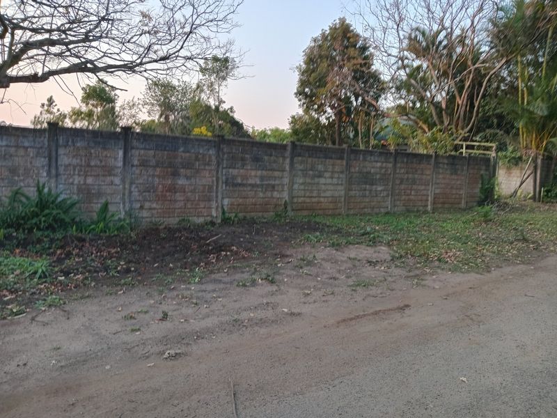 Street view of the property boundary featuring a precast concrete wall with mature trees and vegetation in the background.