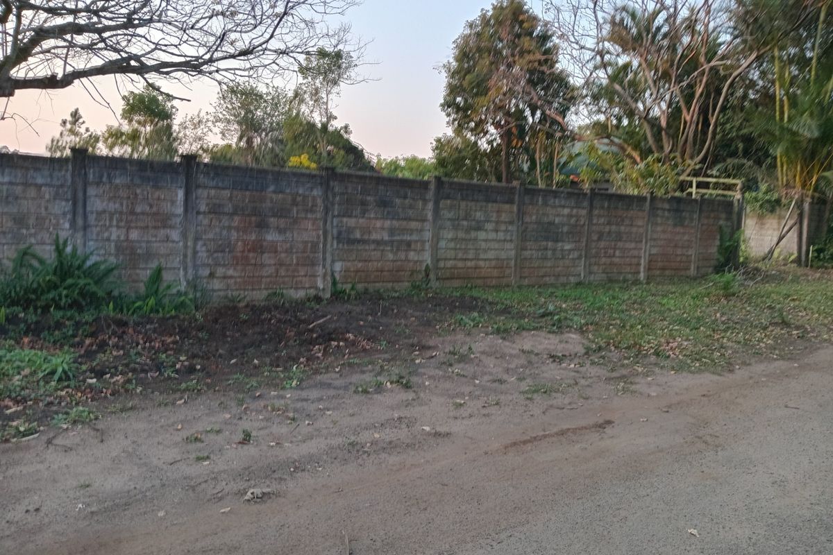 Street view of the property boundary featuring a precast concrete wall with mature trees and vegetation in the background.