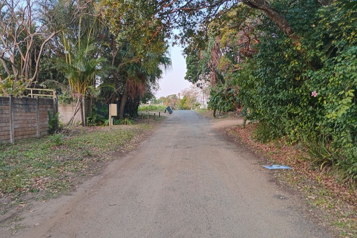 A view of an unpaved residential street lined with mature trees and established vegetation, showing the approach to the property.