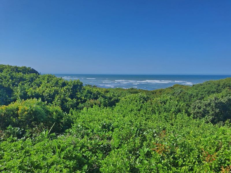 A scenic view overlooking lush coastal vegetation with a clear horizon line of the ocean.