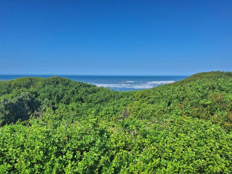 A scenic view overlooking lush coastal vegetation with a clear horizon line of the ocean.