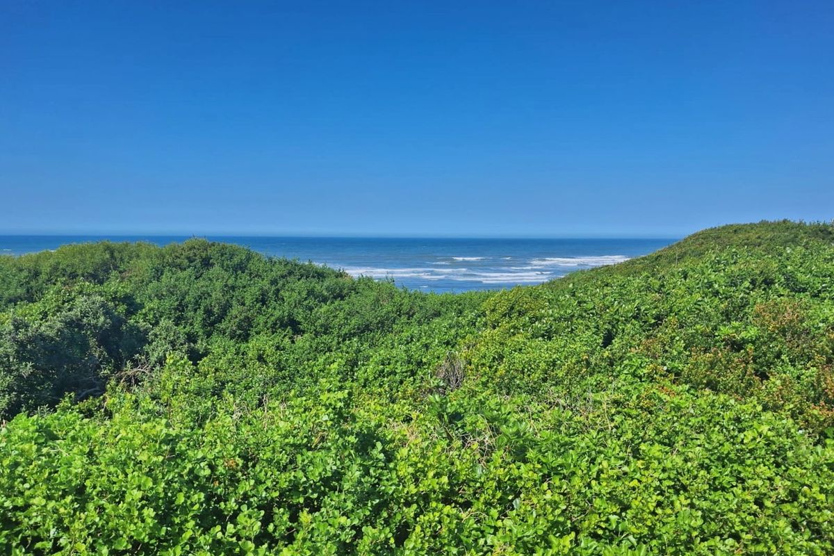 A scenic view overlooking lush coastal vegetation with a clear horizon line of the ocean.