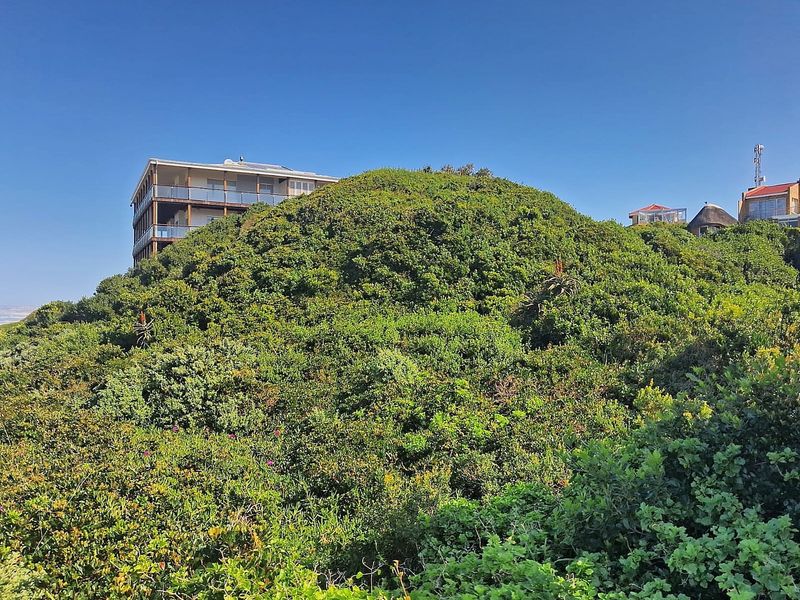 A view of the sloped, vegetated terrain characteristic of the coastal residential plot.