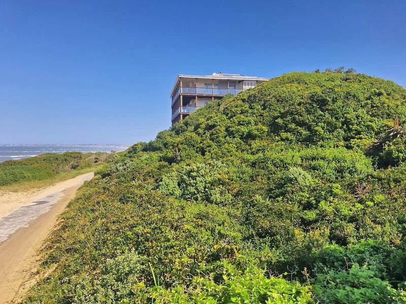 A scenic view of the coastal landscape featuring native vegetation, sand dunes, and a distant residential building overlooking the ocean.