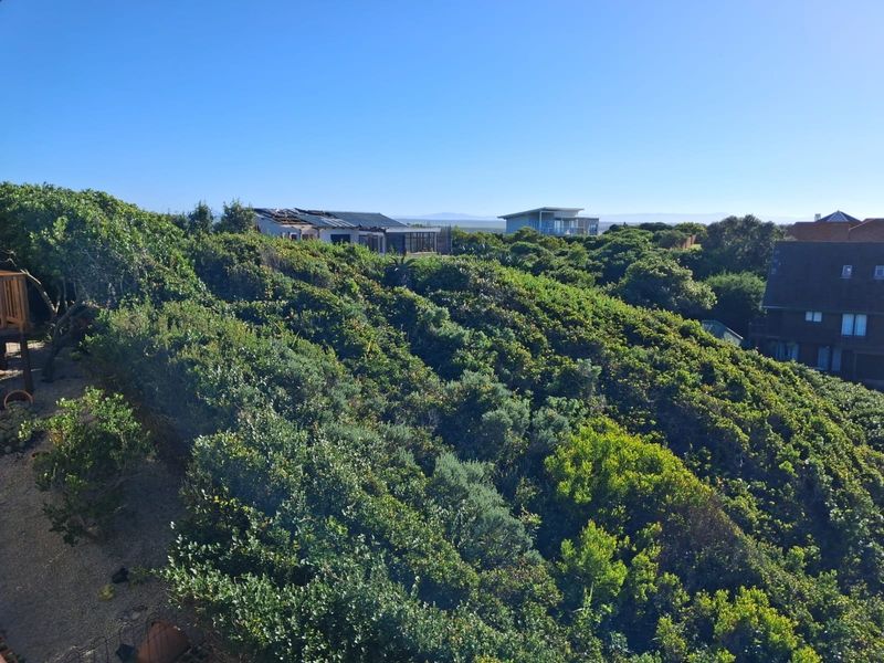 A scenic elevated view overlooking dense coastal vegetation and surrounding residential properties in a quiet neighborhood setting.