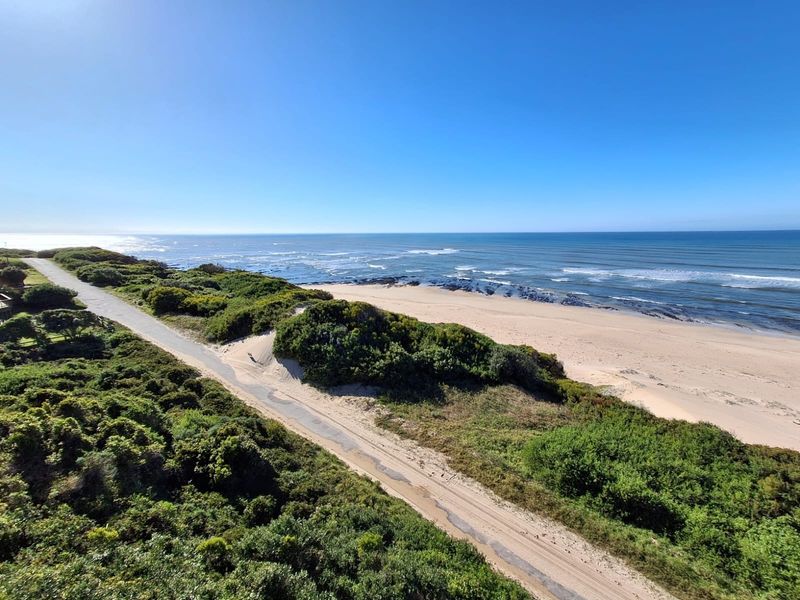 A scenic aerial view of the coastal landscape, showcasing the beach, natural dunes, and surrounding vegetation.