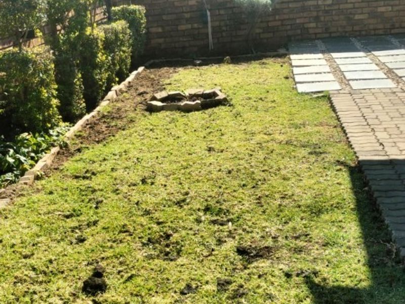 A rear garden area featuring a paved walkway, brick boundary wall, and a lawn area.