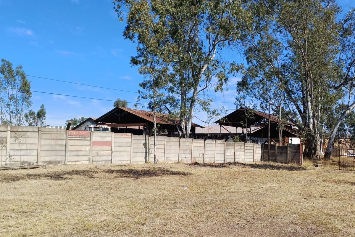 View of the rear yard featuring a precast concrete boundary wall and open-sided industrial sheds with weathered metal roofing structures.