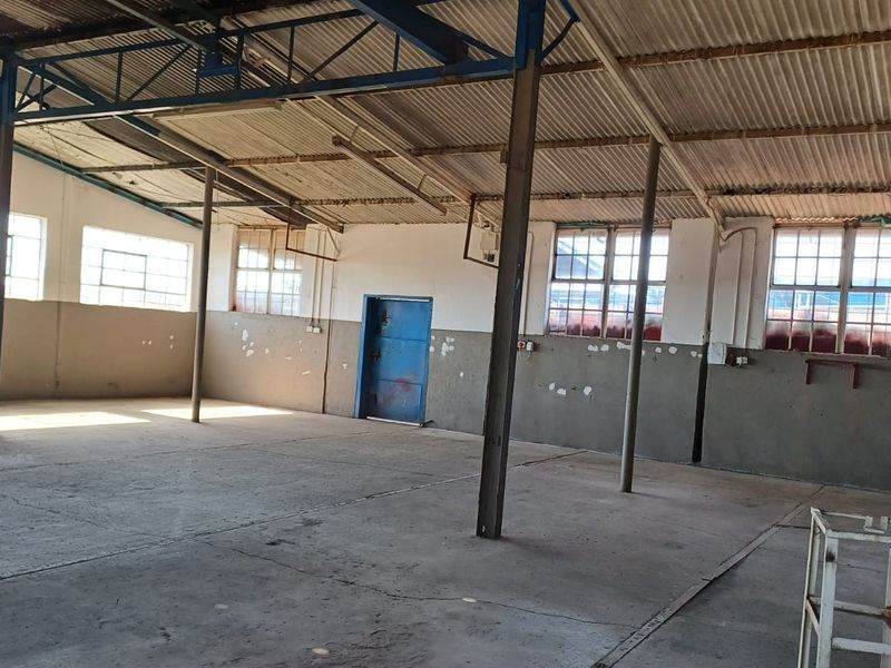 Spacious industrial warehouse unit featuring high ceilings with exposed steel trusses, concrete flooring, and ample natural light through steel-framed windows.