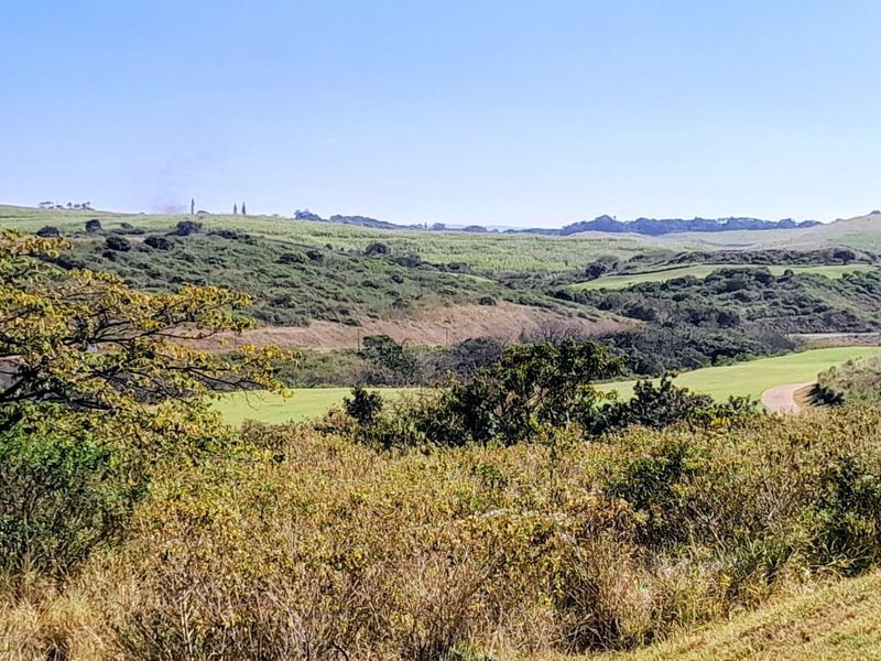 A scenic view of the expansive natural landscape, featuring rolling hills and native vegetation, showcasing the property's surroundings.