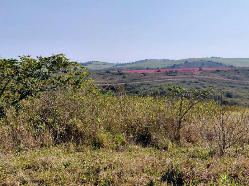 A scenic view of the expansive, undeveloped residential land featuring rolling hills and natural vegetation.