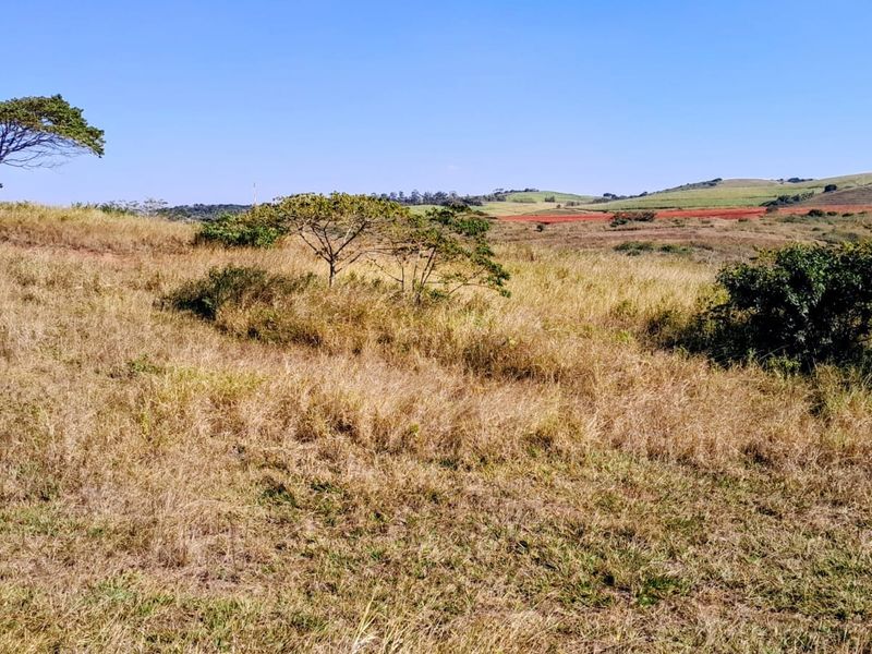 A wide-angle view of the vacant residential land, showcasing the natural landscape, rolling terrain, and surrounding vegetation.