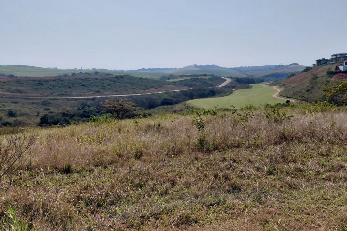 A scenic, elevated view overlooking rolling hills and natural landscape, showcasing the expansive terrain of the vacant residential property.