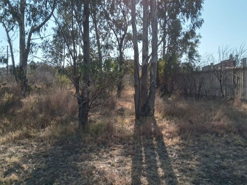A vacant residential plot featuring mature trees and perimeter fencing, offering a natural setting for future development.