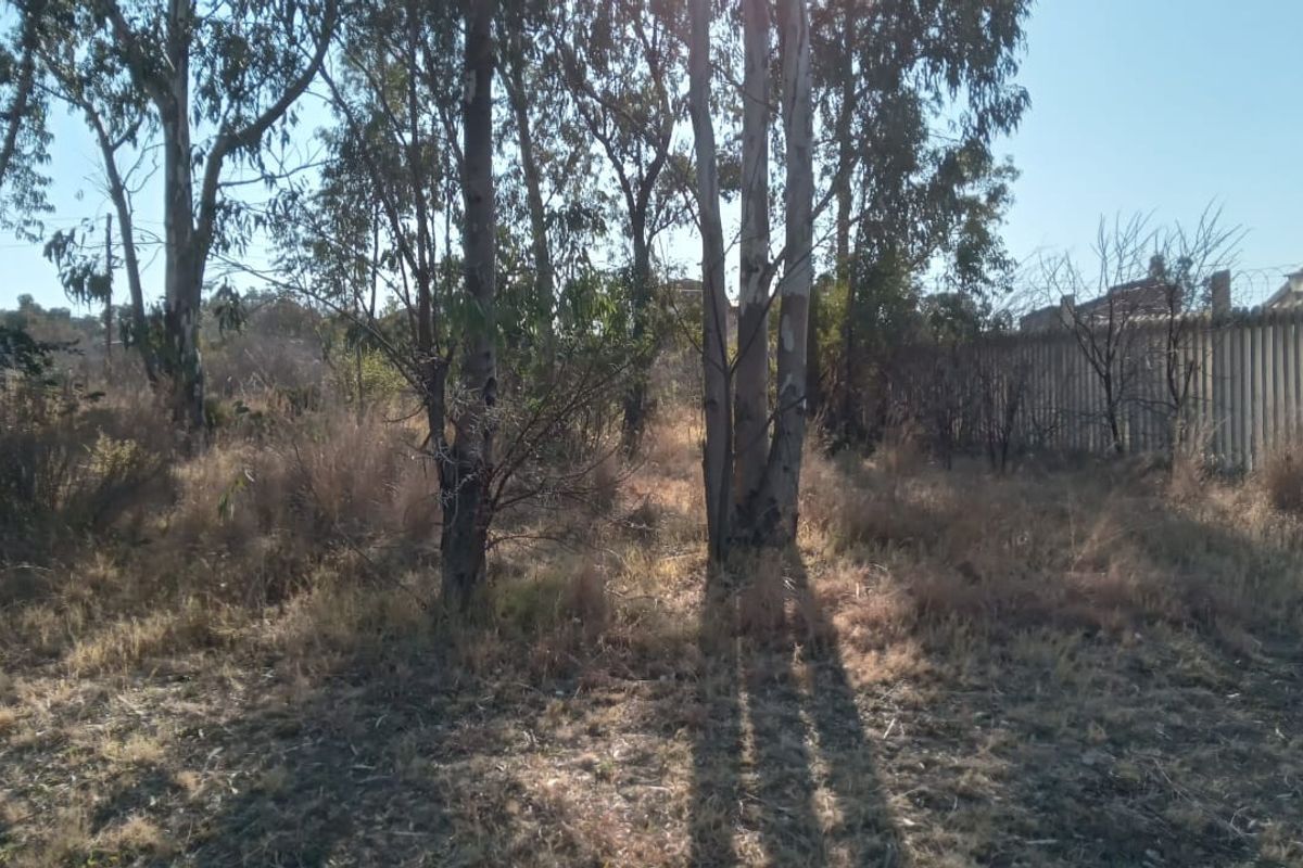 A vacant residential plot featuring mature trees and perimeter fencing, offering a natural setting for future development.
