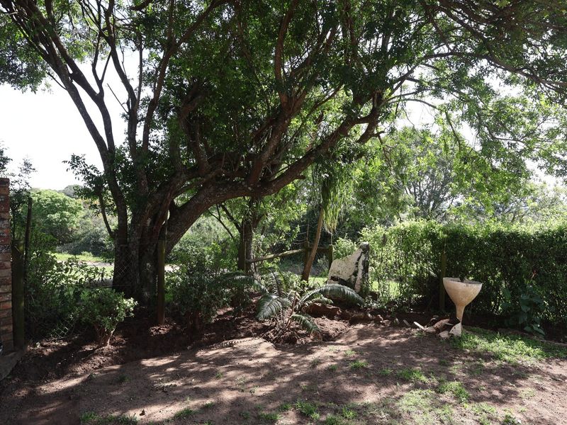 A shaded garden area featuring mature trees, established hedging, and a brick pillar boundary.