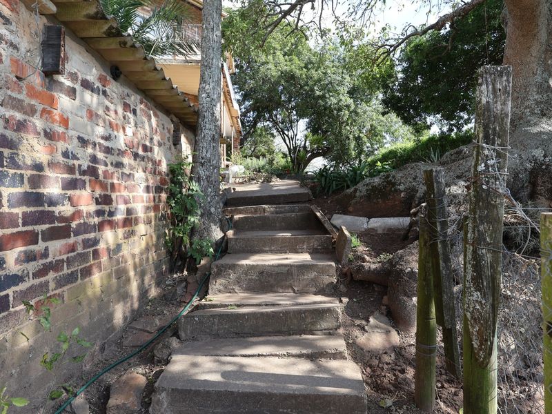 An outdoor garden pathway featuring concrete stairs alongside a brick retaining wall and mature trees, showing signs of wear and weathering.