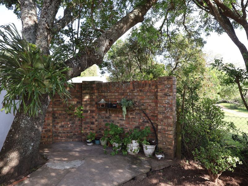 A quiet garden corner featuring a rustic face-brick boundary wall, mature trees, and concrete paving, offering a natural outdoor space.