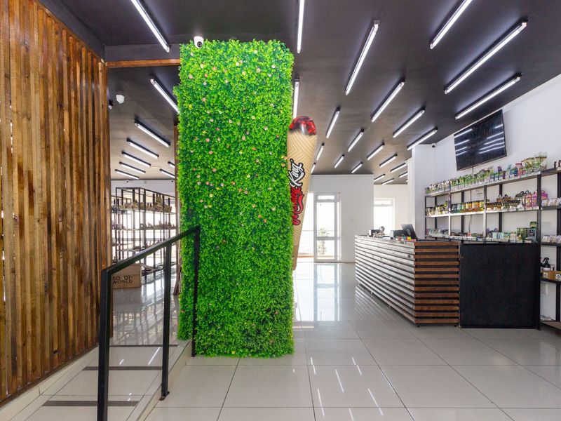 Modern open-plan retail space featuring polished tile flooring, linear ceiling lighting, a custom service counter, and integrated wall shelving units.