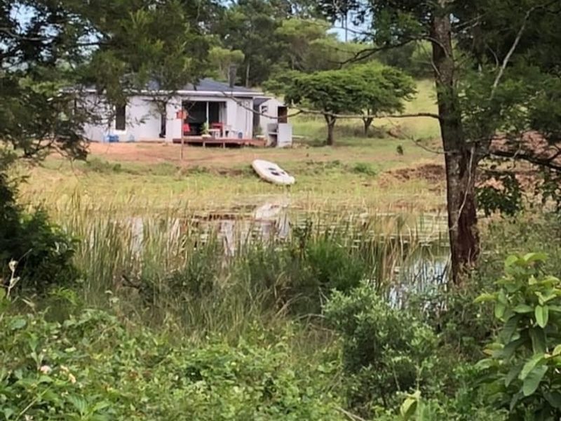 A view of the rear elevation of the cottage, featuring a deck and sliding glass doors, overlooking a natural pond and surrounding landscape.