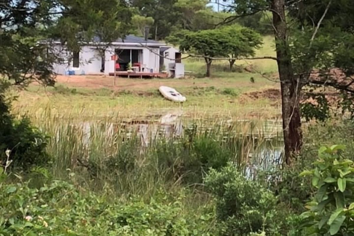 A view of the rear elevation of the cottage, featuring a deck and sliding glass doors, overlooking a natural pond and surrounding landscape.