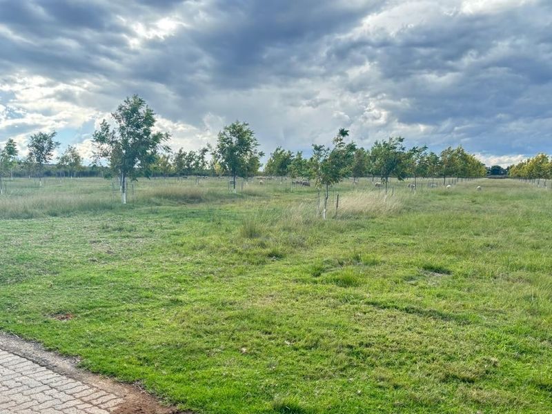 Small Holding For Sale in Ebner On Vaal, Vanderbijlpark - Photo 4