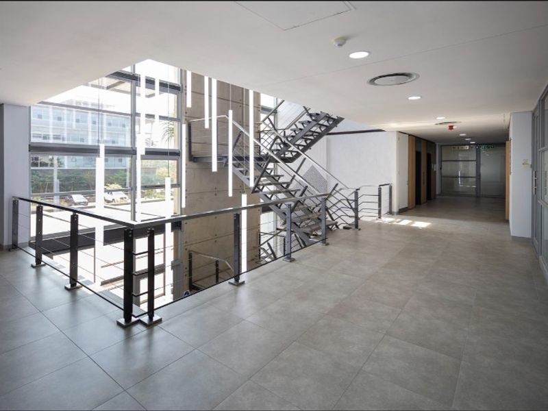 Modern office building hallway featuring a striking metal staircase, exposed concrete feature wall, and expansive glass curtain wall providing natural light.