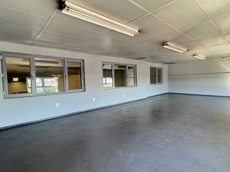 A spacious, empty industrial office area featuring a suspended ceiling, fluorescent lighting, and large aluminium-framed windows.