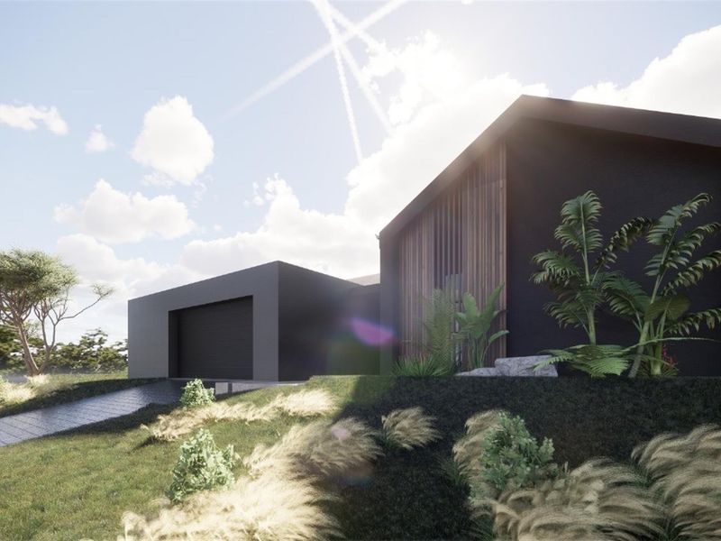 Modern architectural exterior featuring a dark facade with timber accents, a paved driveway, and a sleek garage entrance.