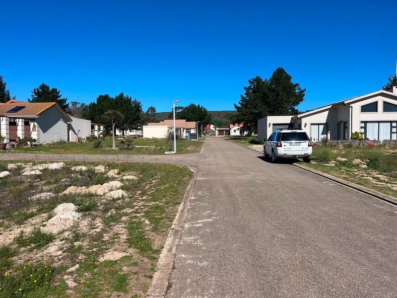 A clear street view of a residential neighborhood featuring paved roads, street lighting, and surrounding residential properties.