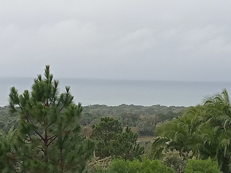 A scenic view overlooking lush coastal vegetation and the ocean horizon under an overcast sky.