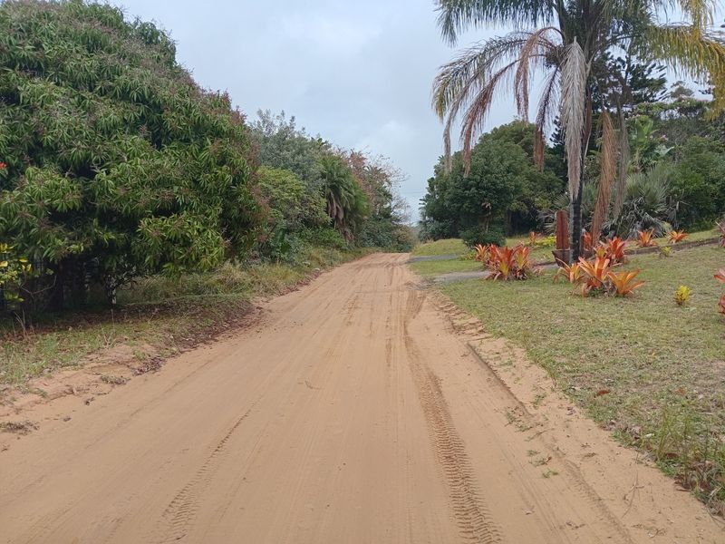 A view of an unpaved residential access road surrounded by mature trees and established garden landscaping.