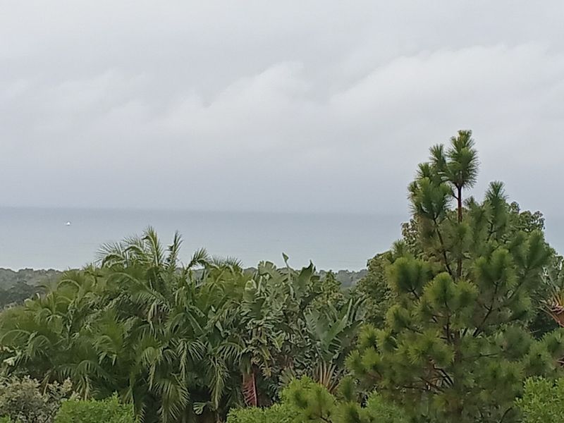 A scenic view of the ocean and surrounding lush greenery, capturing the natural landscape of the property.