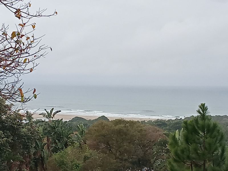 A scenic view of the coastline and ocean, showcasing the natural landscape and beach surroundings from the property.