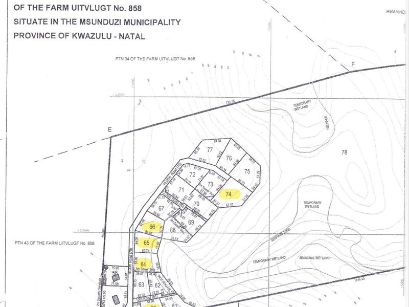 A proposed subdivisional layout plan for Tangle Thorn Estate, detailing plot boundaries and infrastructure for the farm Uitvlugt.