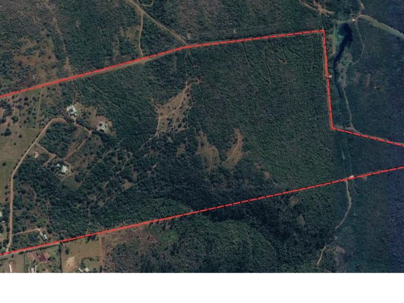 Aerial view of a large, undeveloped residential land parcel featuring dense vegetation and existing access roads.